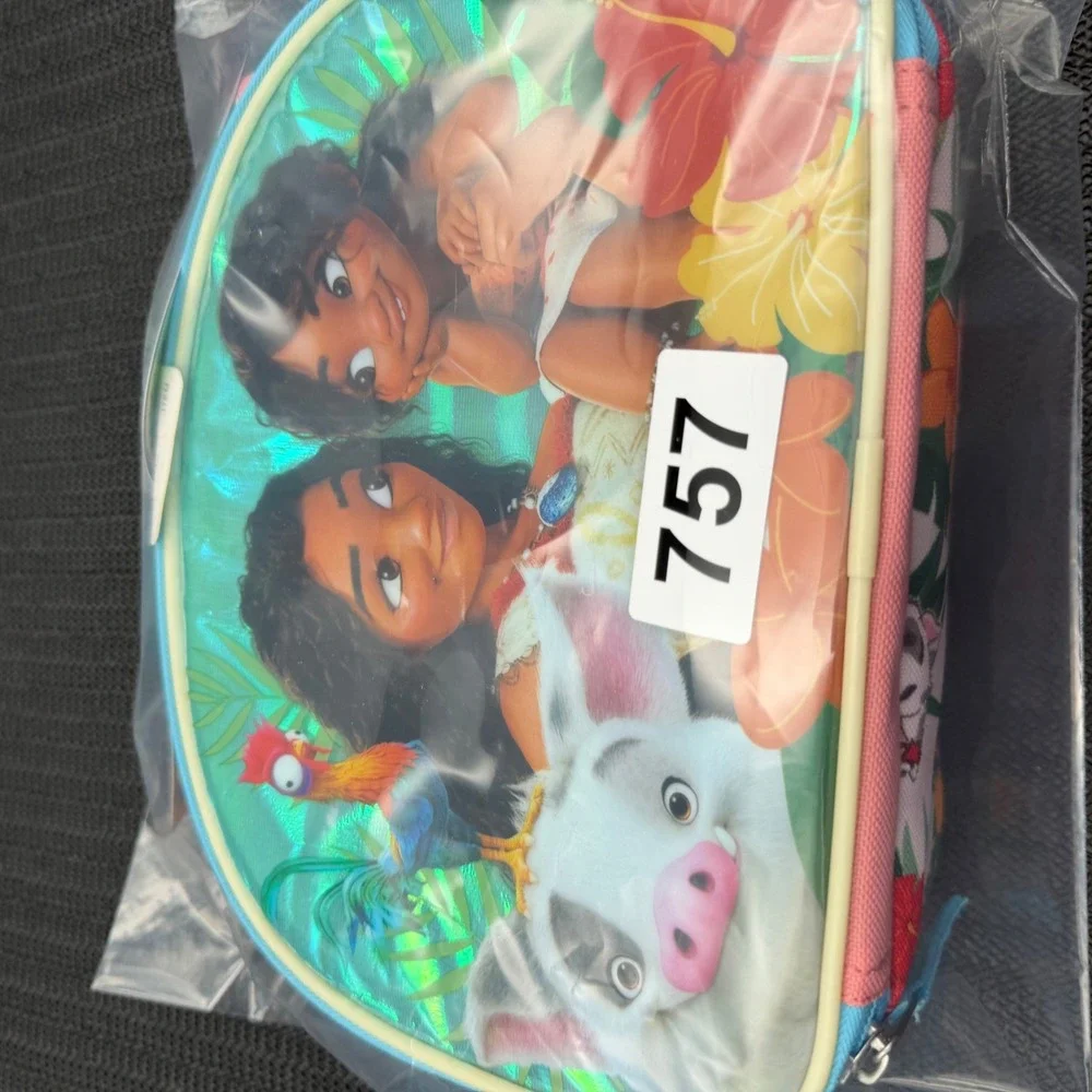Disney Moana2 Insulated Lunch Bag Bioworld Princess Simea Pua Hei Hei Pink Green